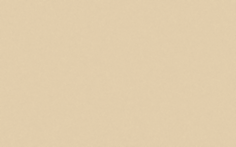 Faux_Leather